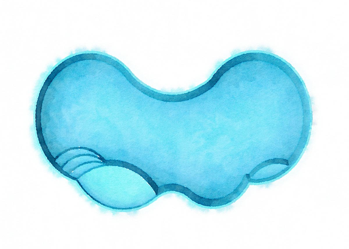 latham gemini pool