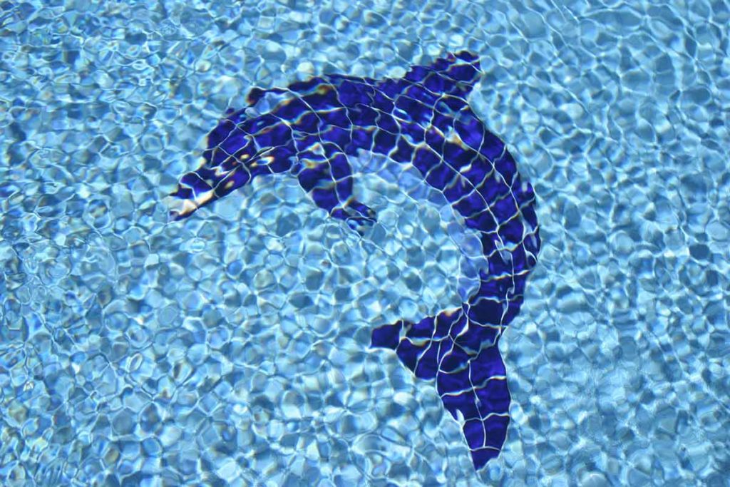 Java Fiberglass Pool