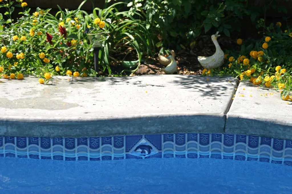 Java Fiberglass Pool