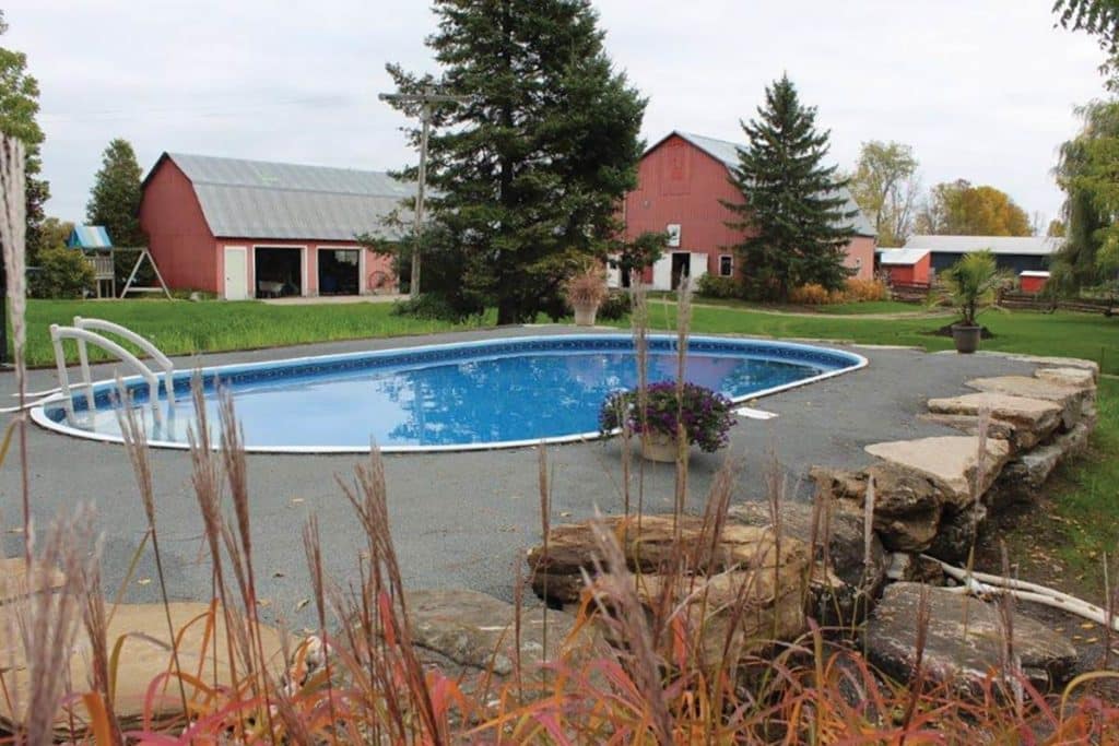 Oval Shaped Swimming Pool