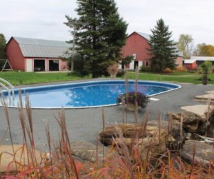 Oval Shaped Swimming Pool