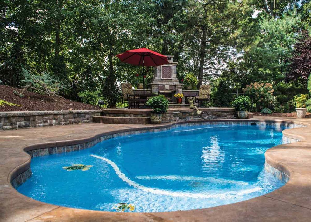 Freeform Pool Pools - Latham Pool