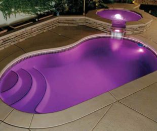 Kidney Shape Swimming Pool