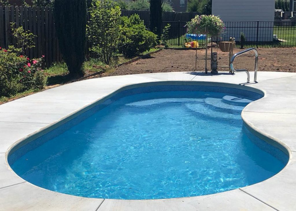 Kidney on sale shaped pool