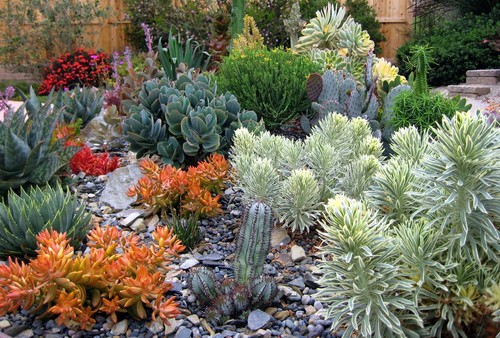 contemporary and low maintenance landscaping ideas