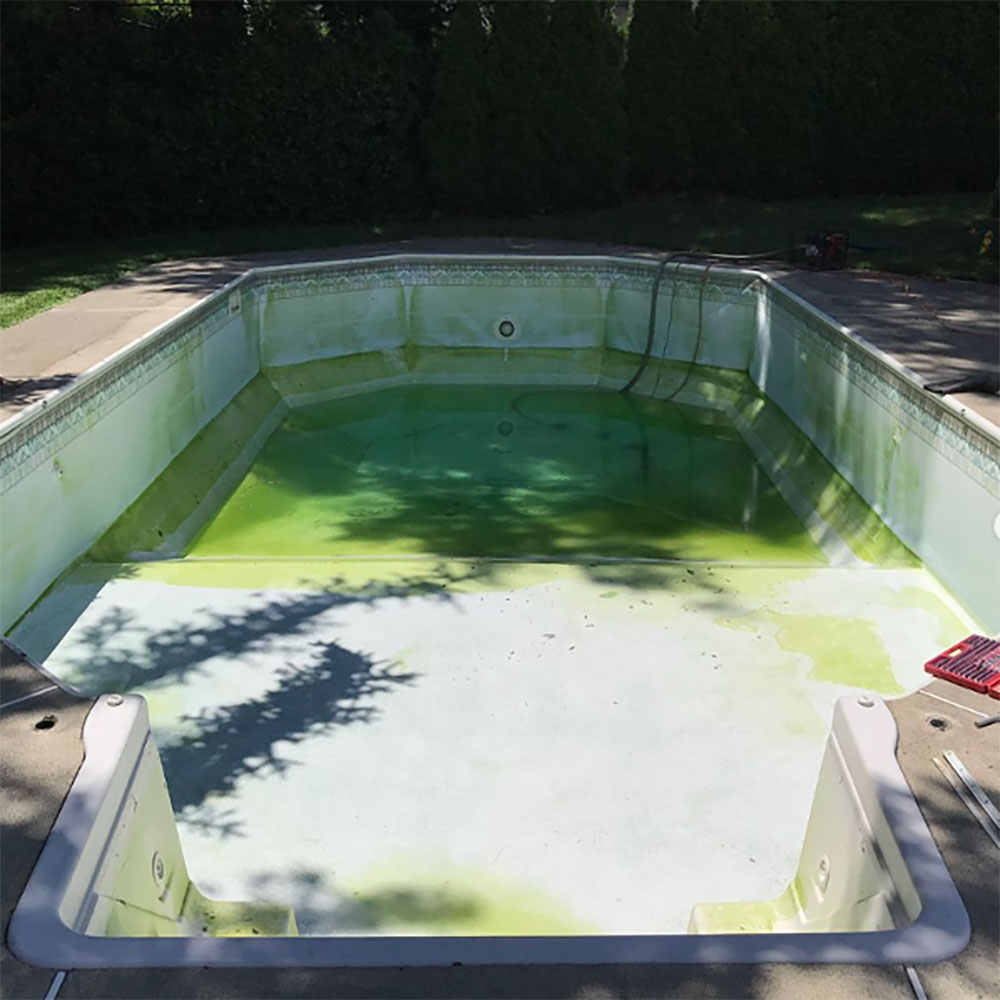 An old vinyl liner pool covered in algae
