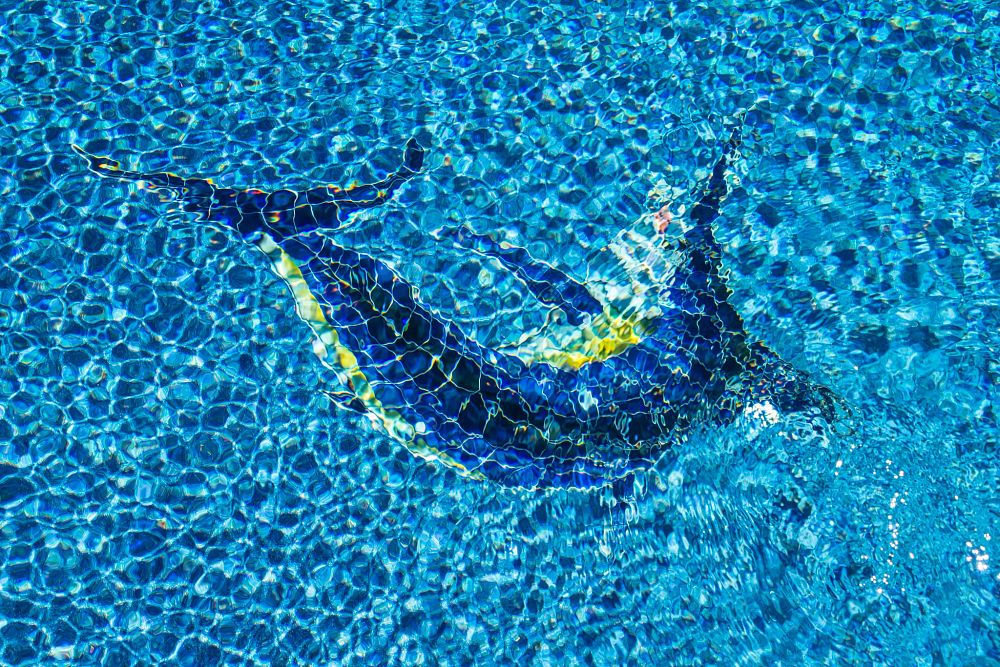 Mosaic design on the pool floor in the shape of a dolphin